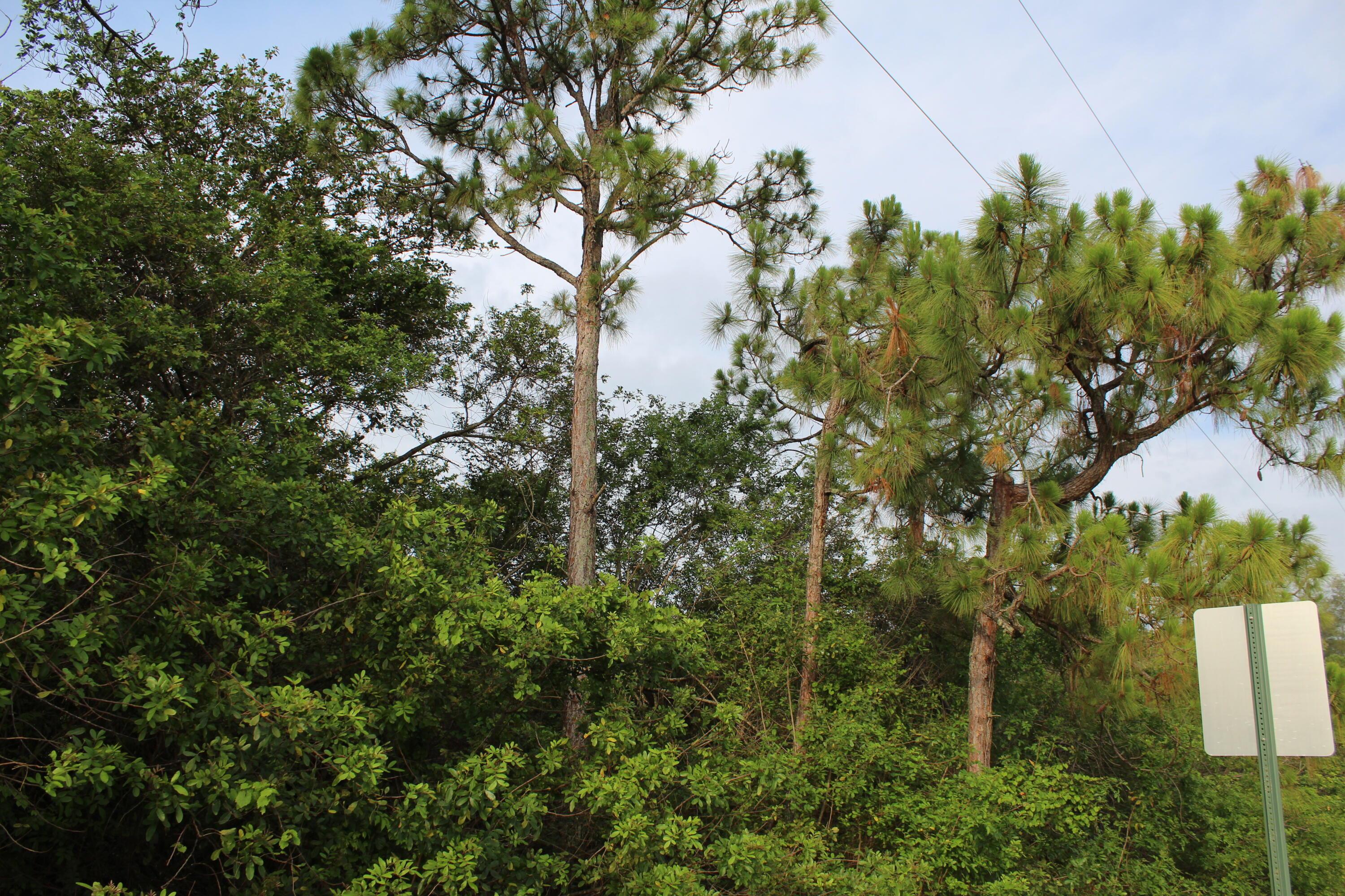 "17992" 94th Street N, Loxahatchee, FL 33470, Loxahatchee - Photo 5
