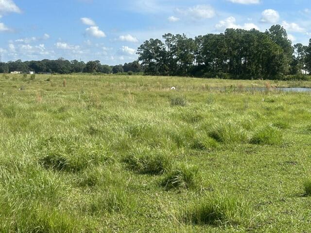 Tbd Mose Grade Road, Okeechobee, FL 34974, Okeechobee - Photo 2