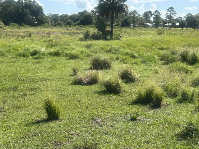 Tbd Mose Grade Road, Okeechobee, FL 34974, Okeechobee - Photo 3