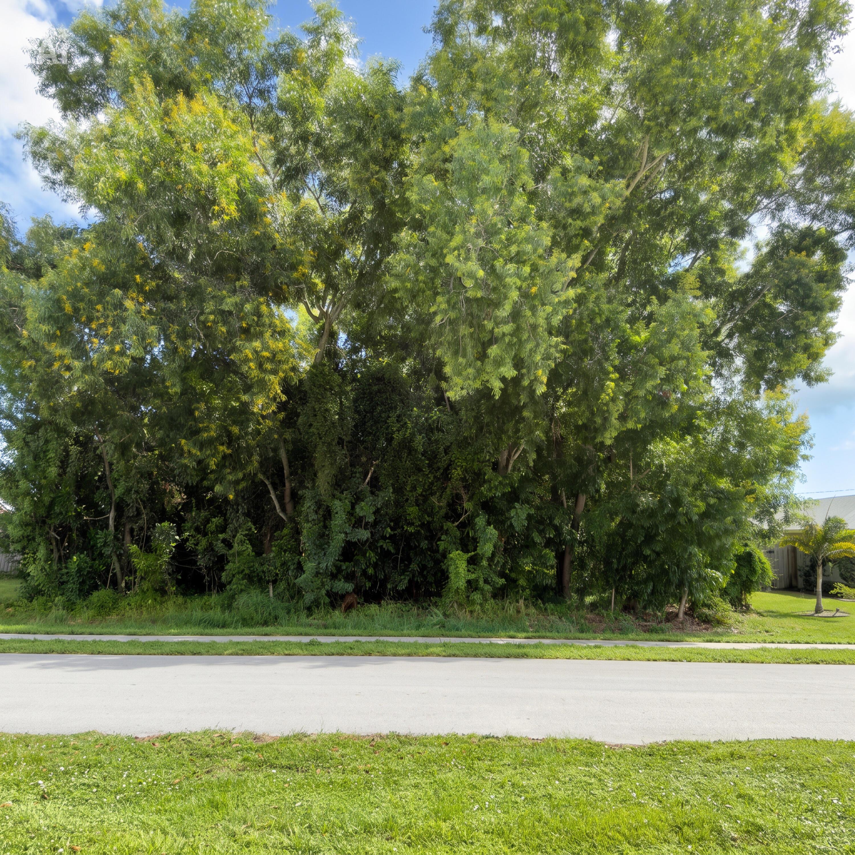 2209 SE FRIENDSHIP Street, Port St. Lucie, FL 34952, Port St. Lucie - Photo 2