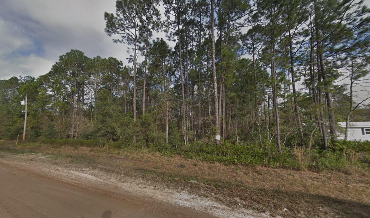 4818 ACACIA Street, Middleburg, FL 32068, Middleburg - Photo 5