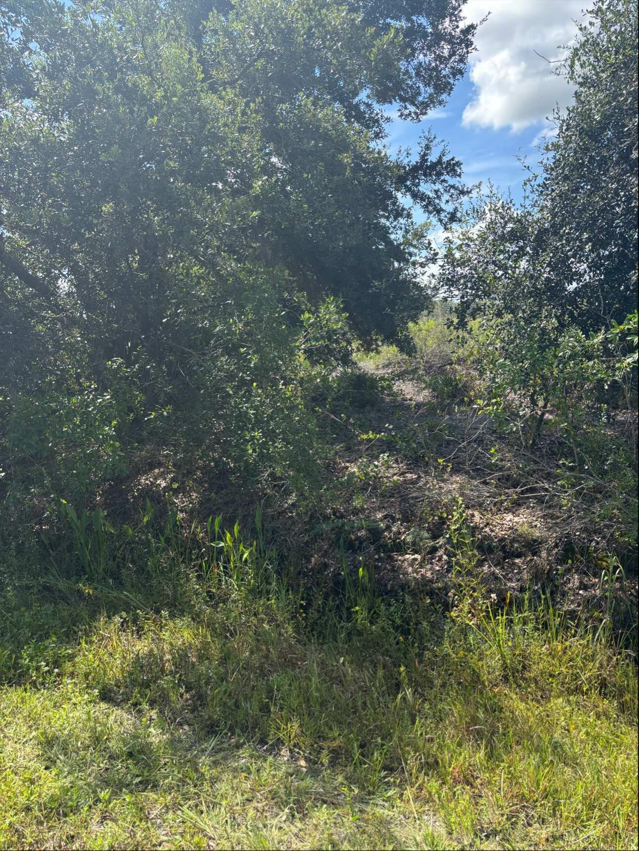 16014 NW 282ND Street, Okeechobee, FL 34972, Okeechobee