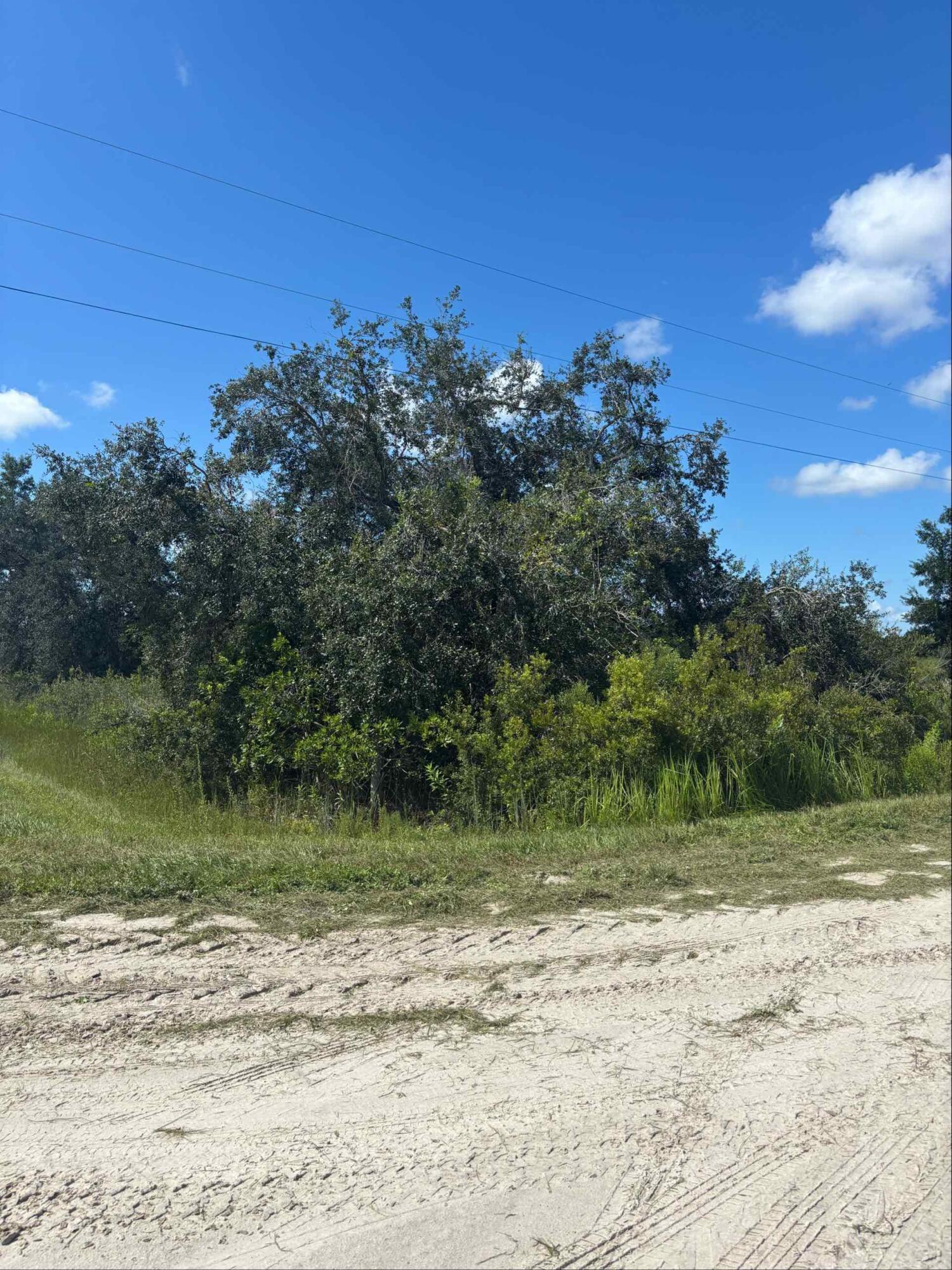 16014 NW 282ND Street, Okeechobee, FL 34972, Okeechobee - Photo 2