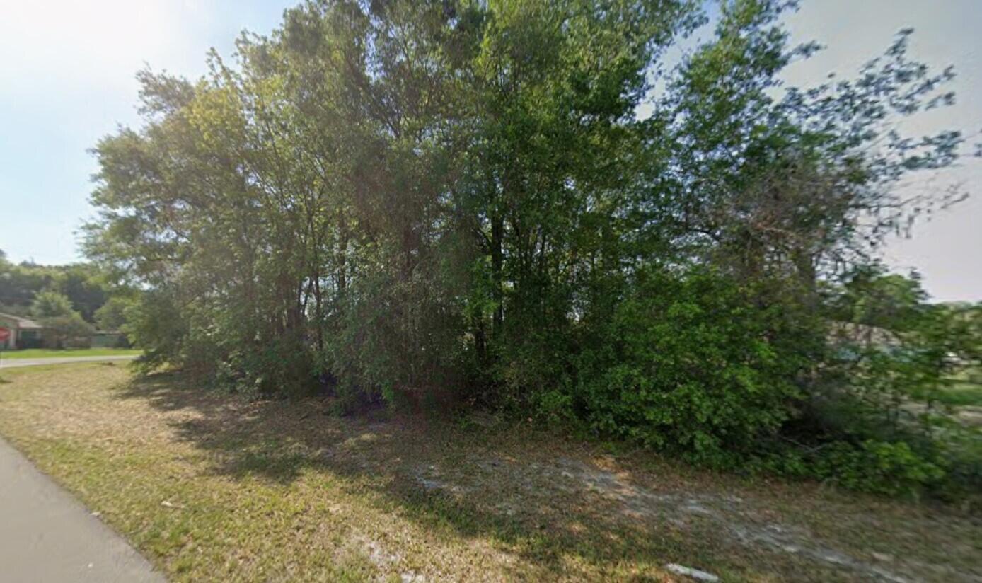 Tbd SW 43rd Avenue, Ocala, FL 34473, Ocala - Photo 2
