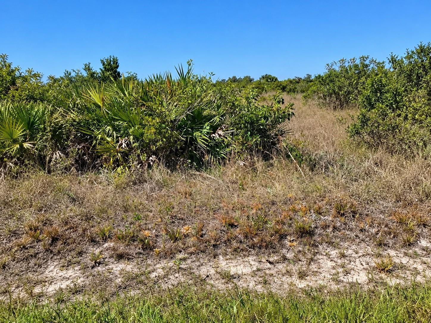 14516 NW 280TH Street, Okeechobee, FL 34972, Okeechobee - Photo 2