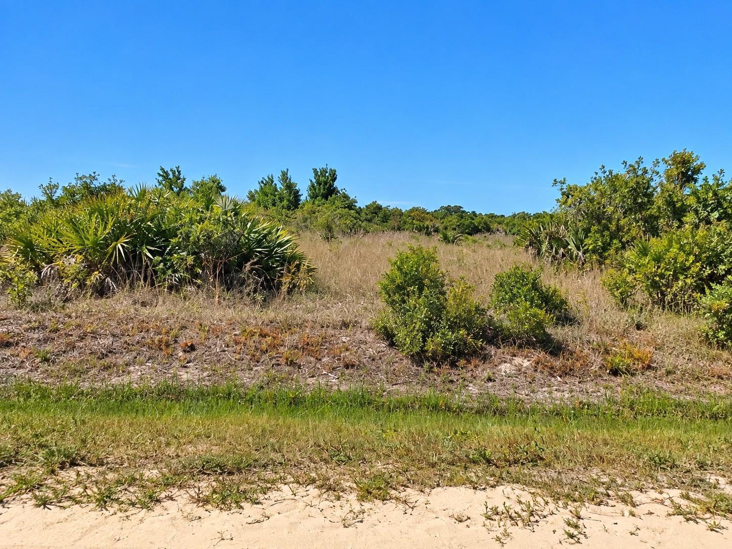 14516 NW 280TH Street, Okeechobee, FL 34972, Okeechobee