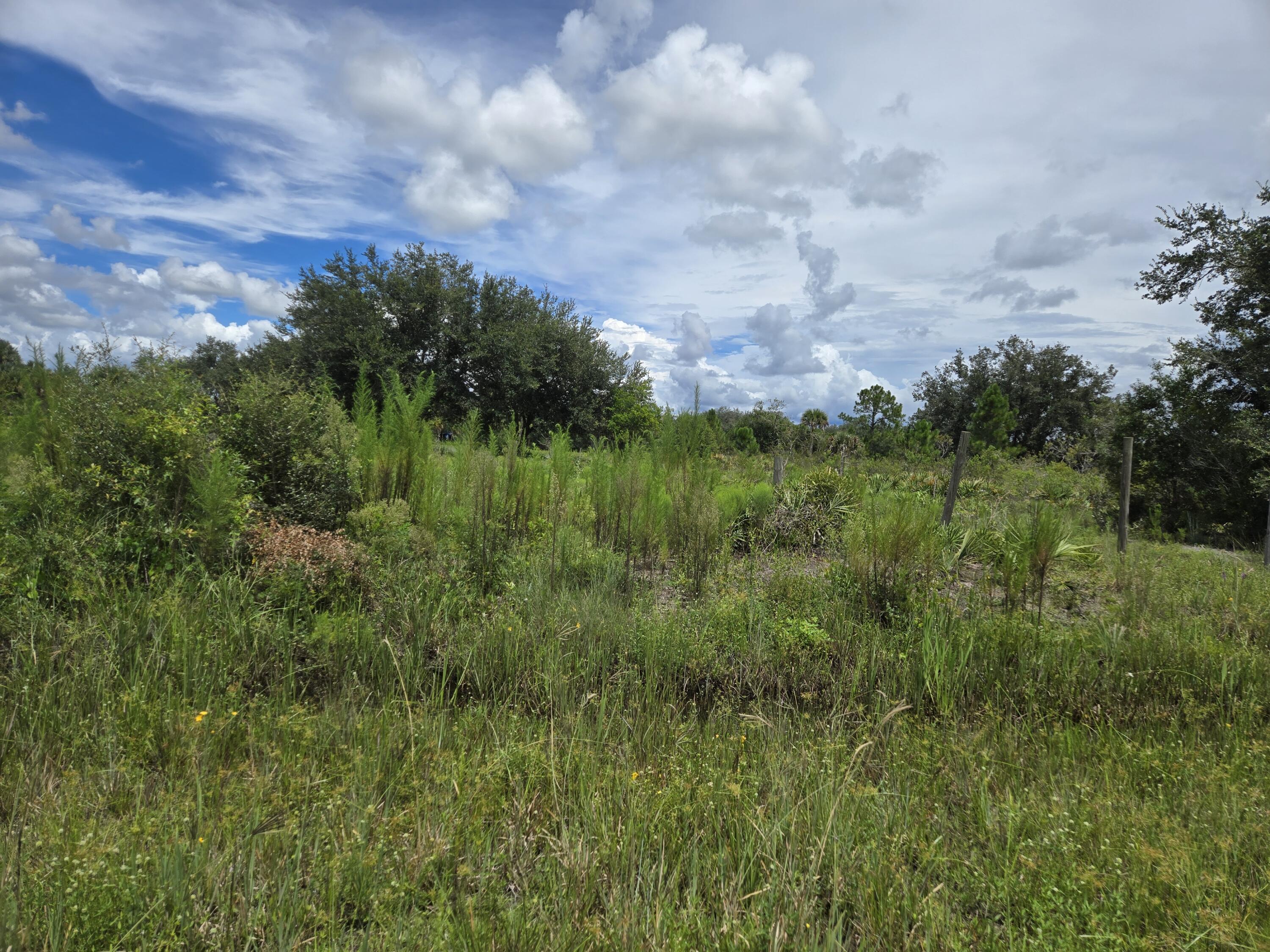 17707 NW 274th Street, Okeechobee, FL 34972, Okeechobee