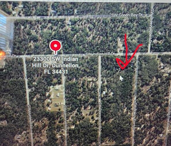 0 SW Indian Hill Drive, Dunnellon, FL 34431, Dunnellon