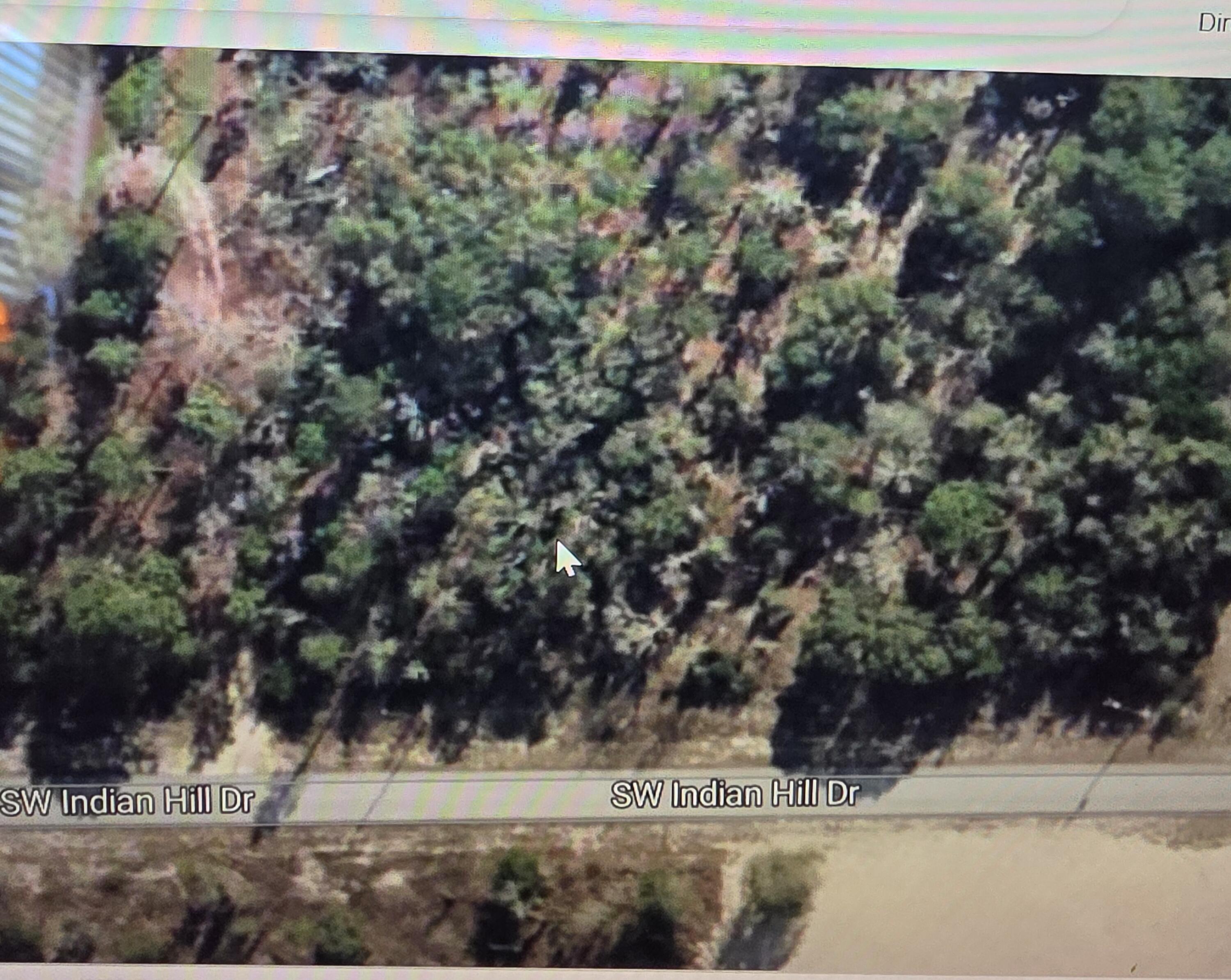 0 SW Indian Hill Drive, Dunnellon, FL 34431, Dunnellon - Photo 3
