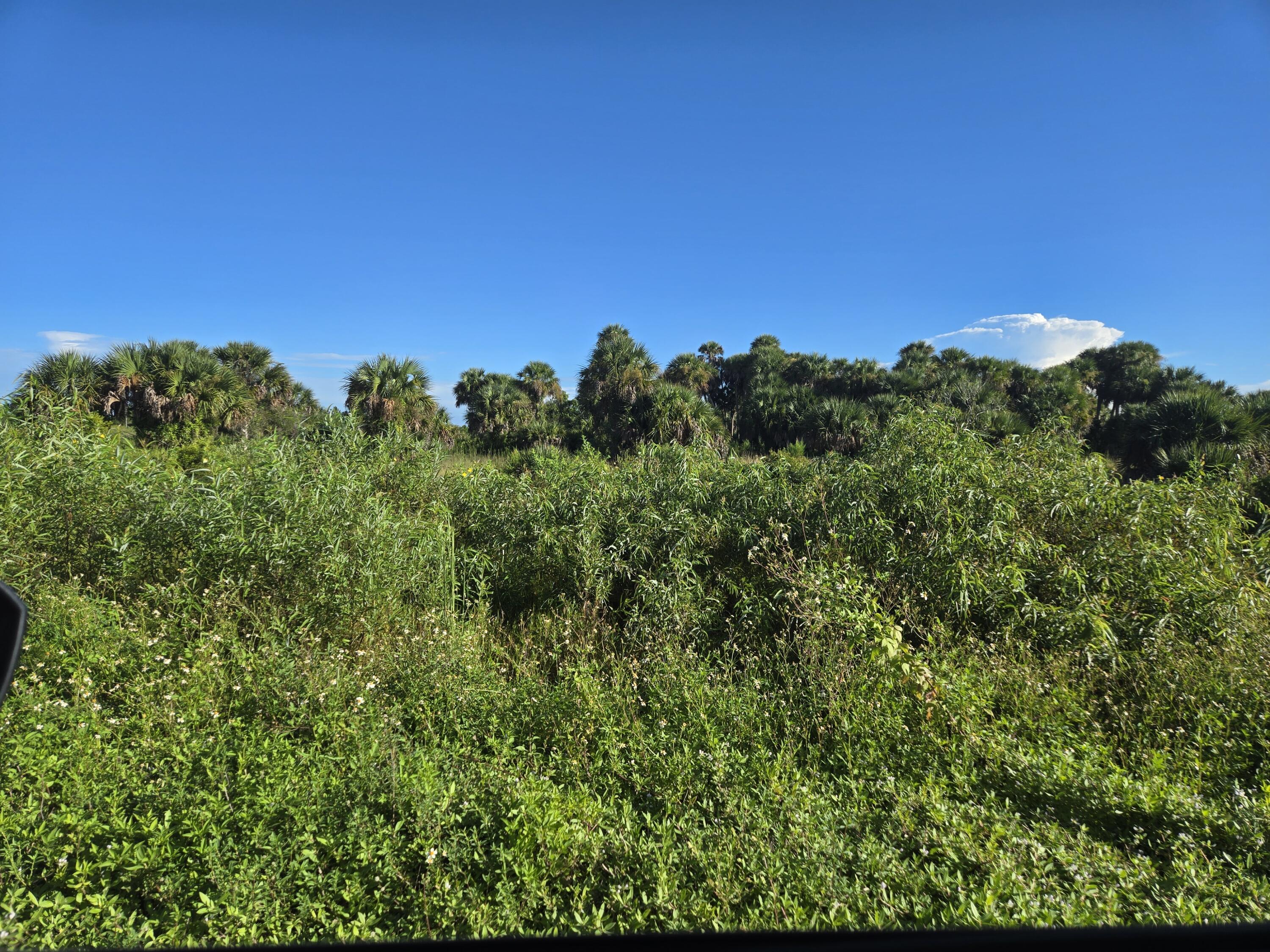 14614 NW 274th Street, Okeechobee, FL 34972, Okeechobee