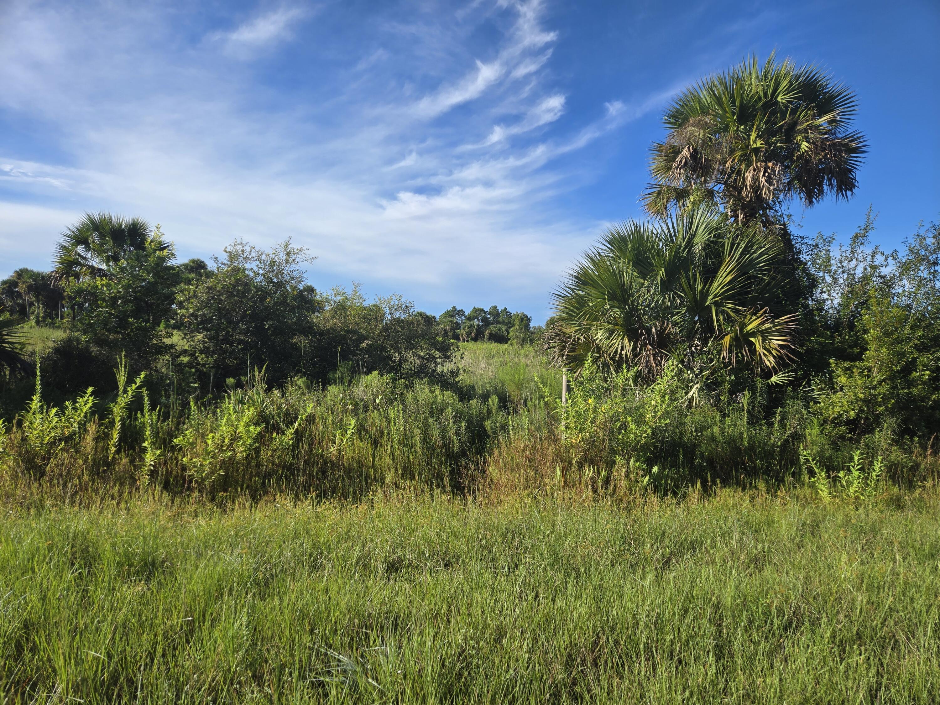 14614 NW 274th Street, Okeechobee, FL 34972, Okeechobee - Photo 3