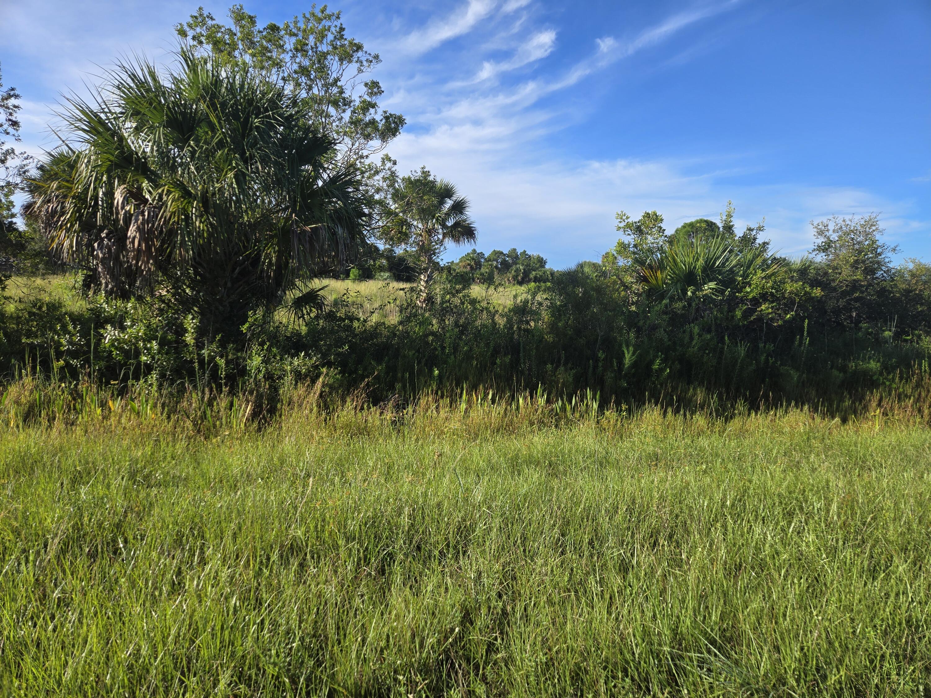 14614 NW 274th Street, Okeechobee, FL 34972, Okeechobee - Photo 4