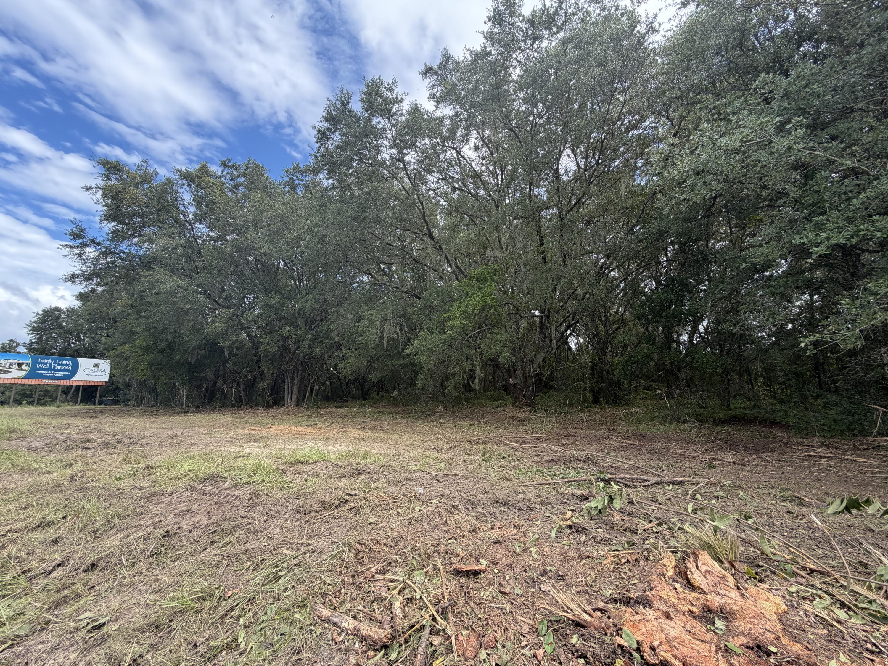 3588 E LAKE PARK Drive, Hernando, FL 34442, Hernando - Photo 4