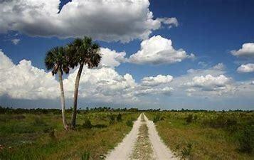 14826 NW 310TH Street, Okeechobee, FL 34972, Okeechobee - Photo 3