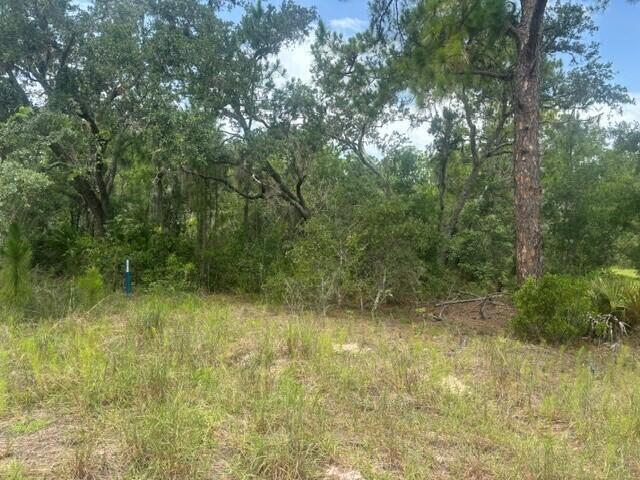 2225 W WELLS Road, Avon Park, FL 33825, Avon Park - Photo 2