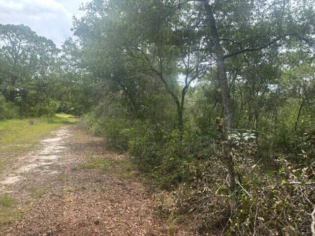 2225 W WELLS Road, Avon Park, FL 33825, Avon Park