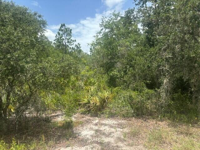 2225 W WELLS Road, Avon Park, FL 33825, Avon Park - Photo 5