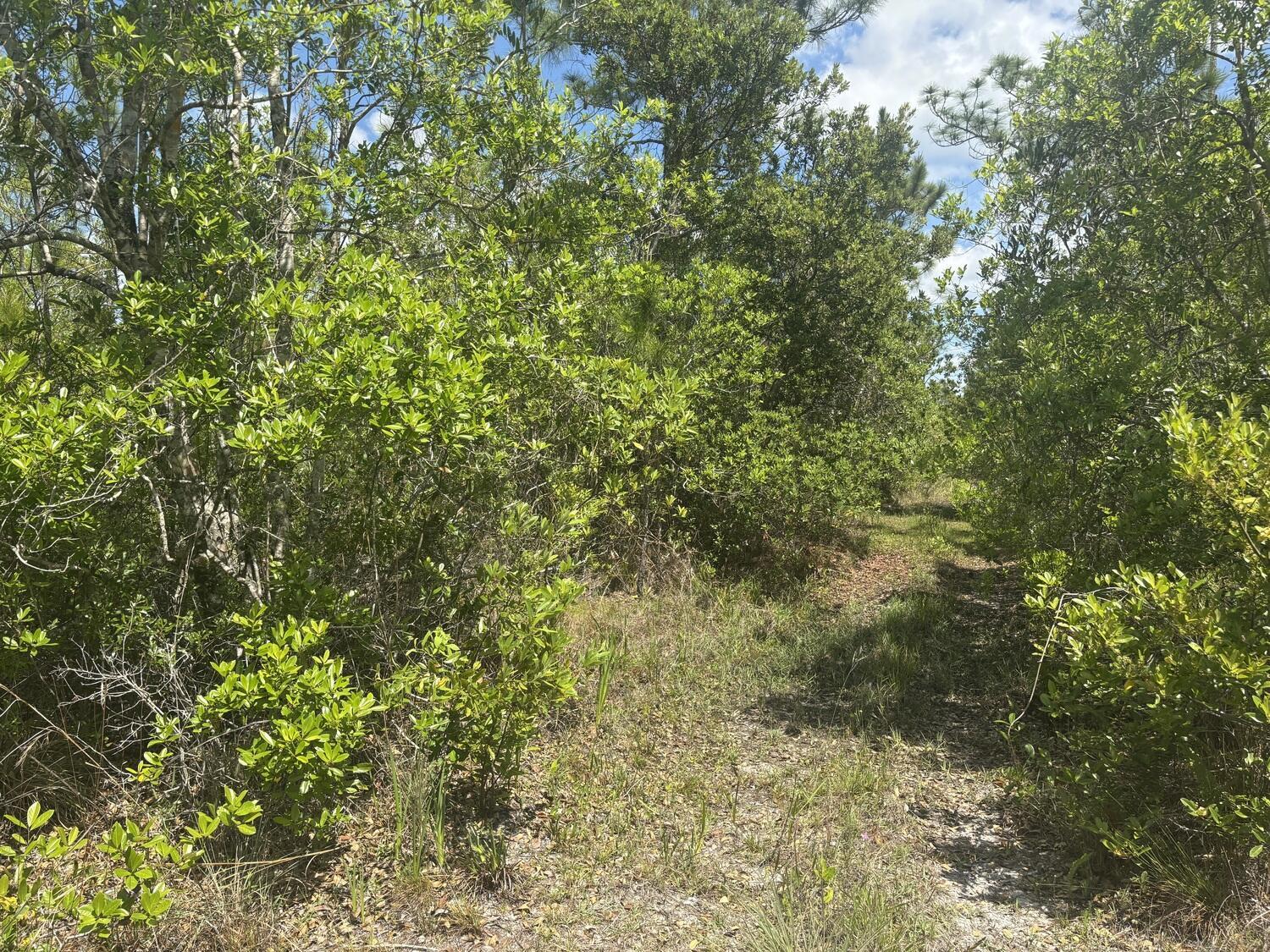 0 Holopaw Groves Road, St. Cloud, FL 34772, St. Cloud - Photo 2