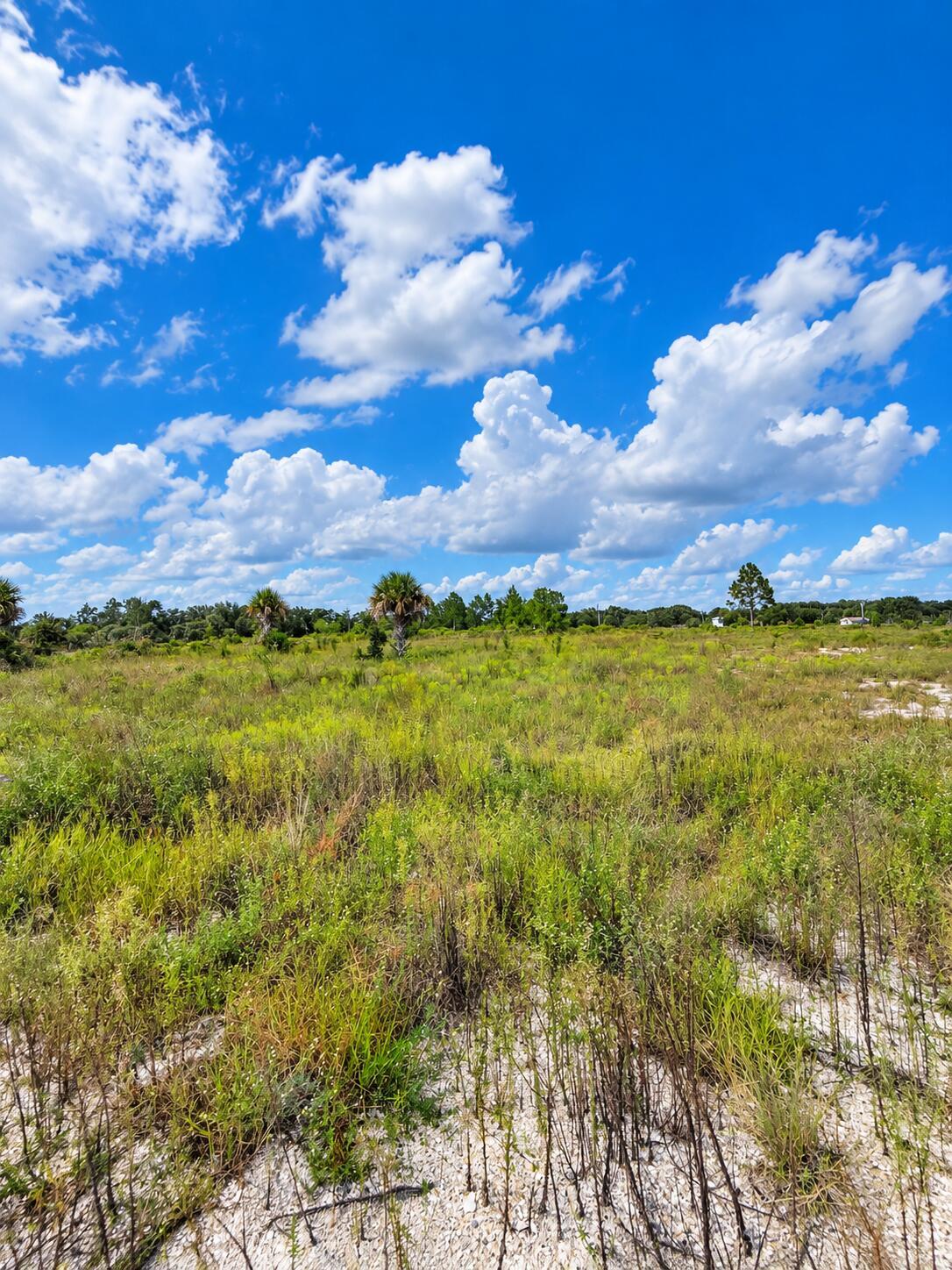 17491 NW 316TH Street, Okeechobee, FL 34972, Okeechobee - Photo 2