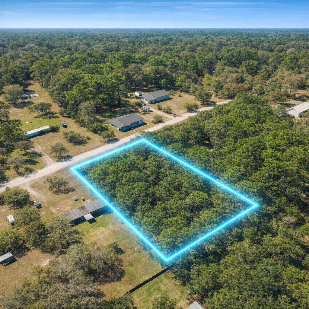 4818 ACACIA Street, Middleburg, FL 32068, Middleburg - Photo 2