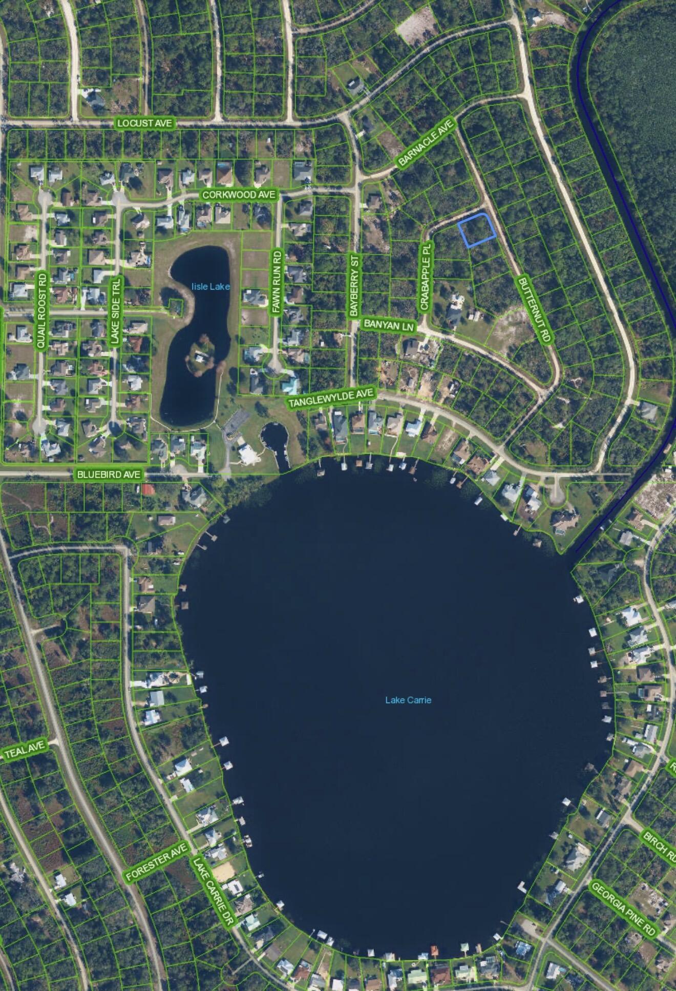 1123 CRABAPPLE Place, Lake Placid, FL 33852, Lake Placid - Photo 4