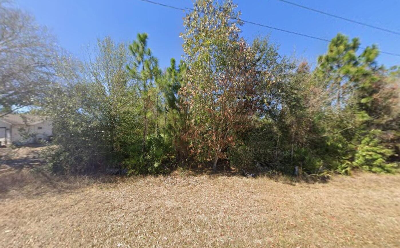 921 ROBERT Avenue, Lehigh Acres, FL 33936, Lehigh Acres - Photo 4