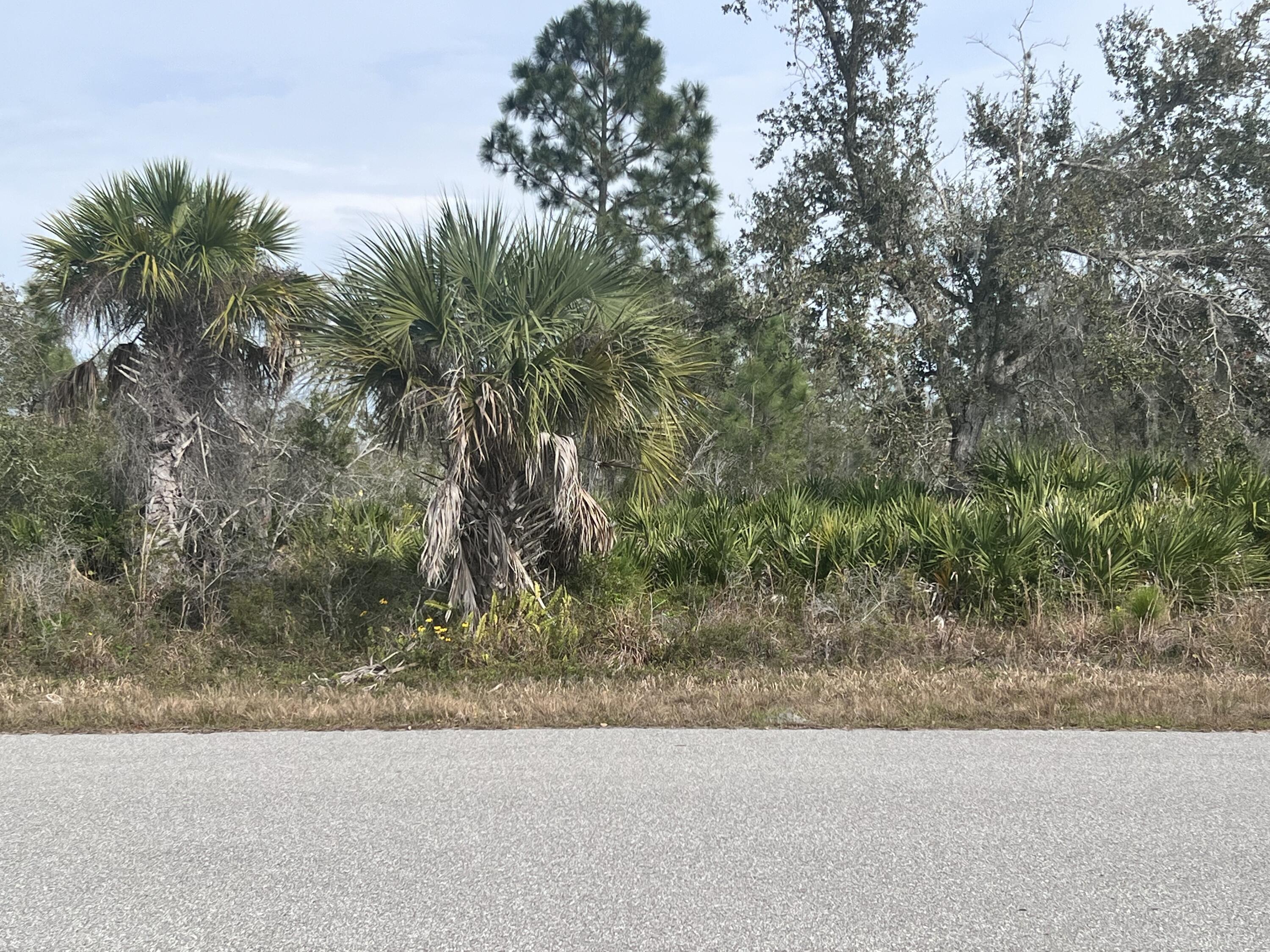 310 Halloran Street, Port Charlotte, FL 33953, Port Charlotte - Main