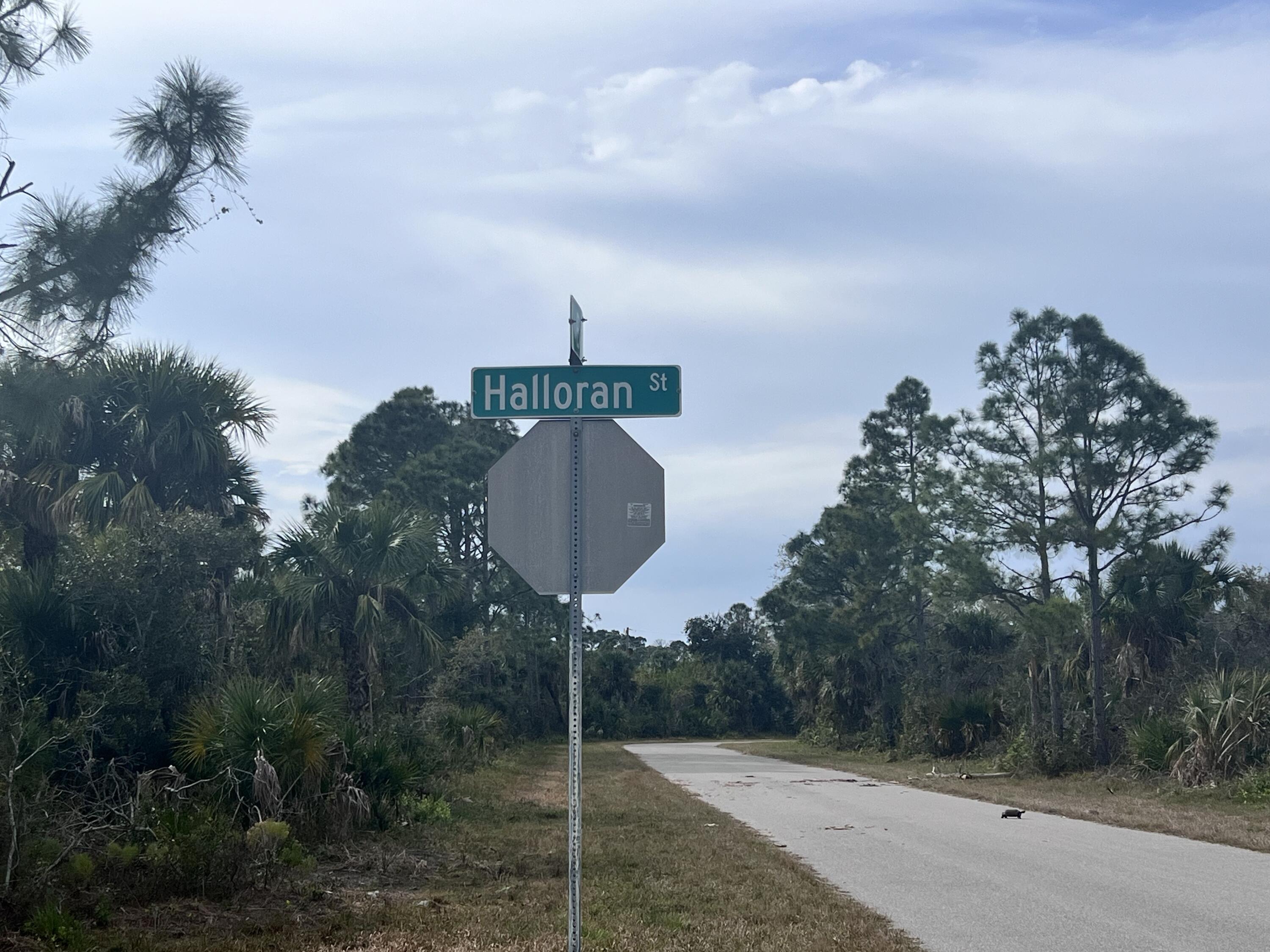 310 Halloran Street, Port Charlotte, FL 33953, Port Charlotte - Photo 2