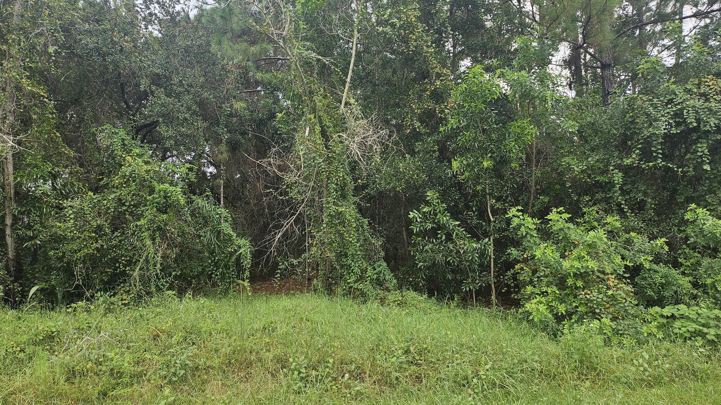 5439 NW Thyer Circle, Port St. Lucie, FL 34983, Port St. Lucie