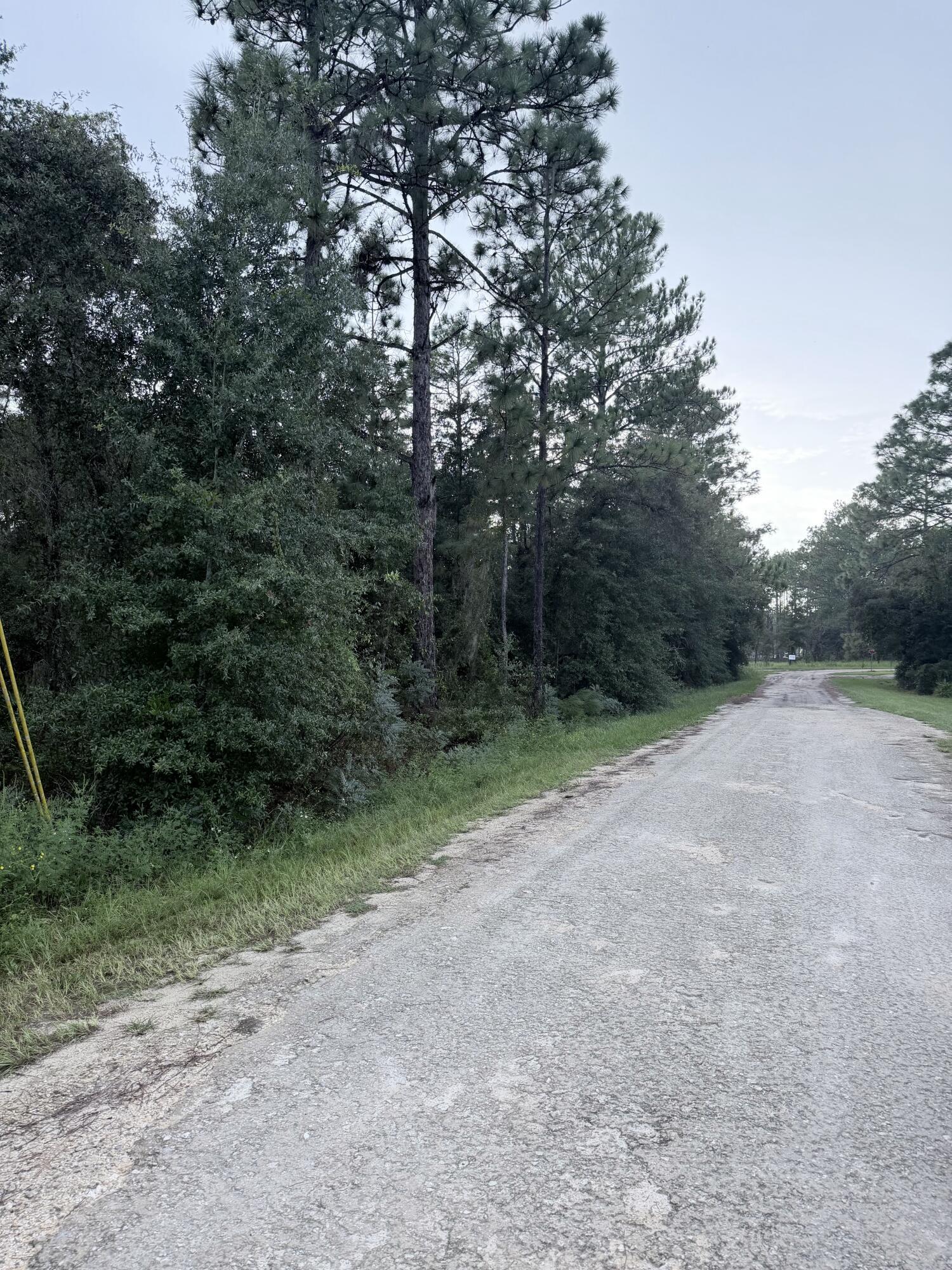 0 NO SITUS, Dunnellon, FL 34432, Dunnellon - Photo 2