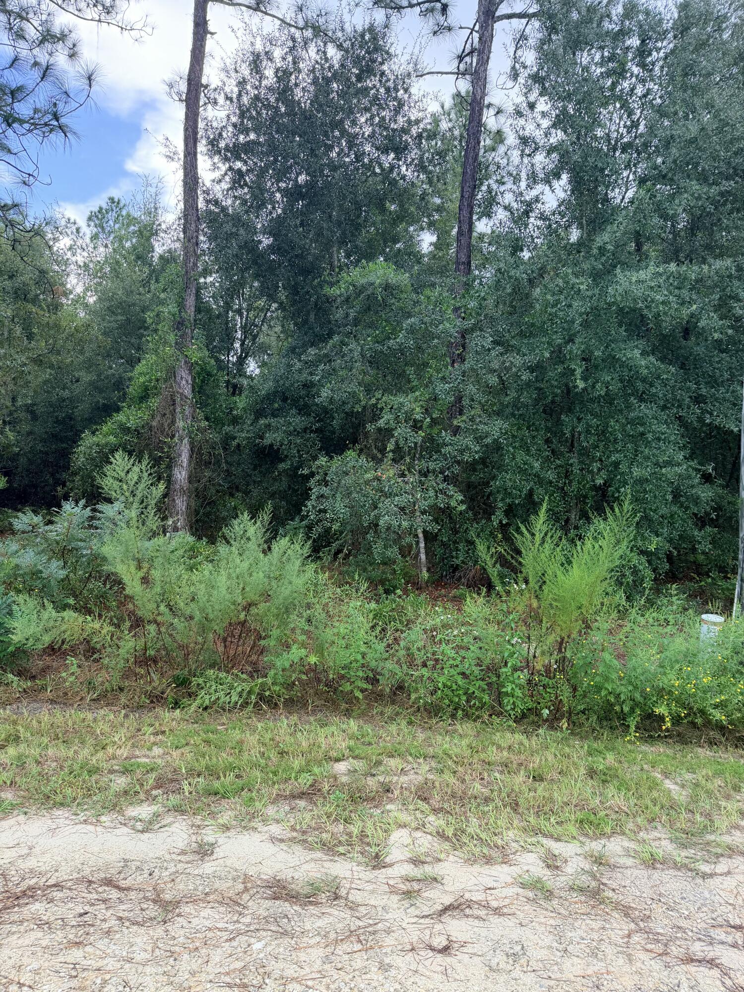 0 NO SITUS, Dunnellon, FL 34432, Dunnellon - Photo 4