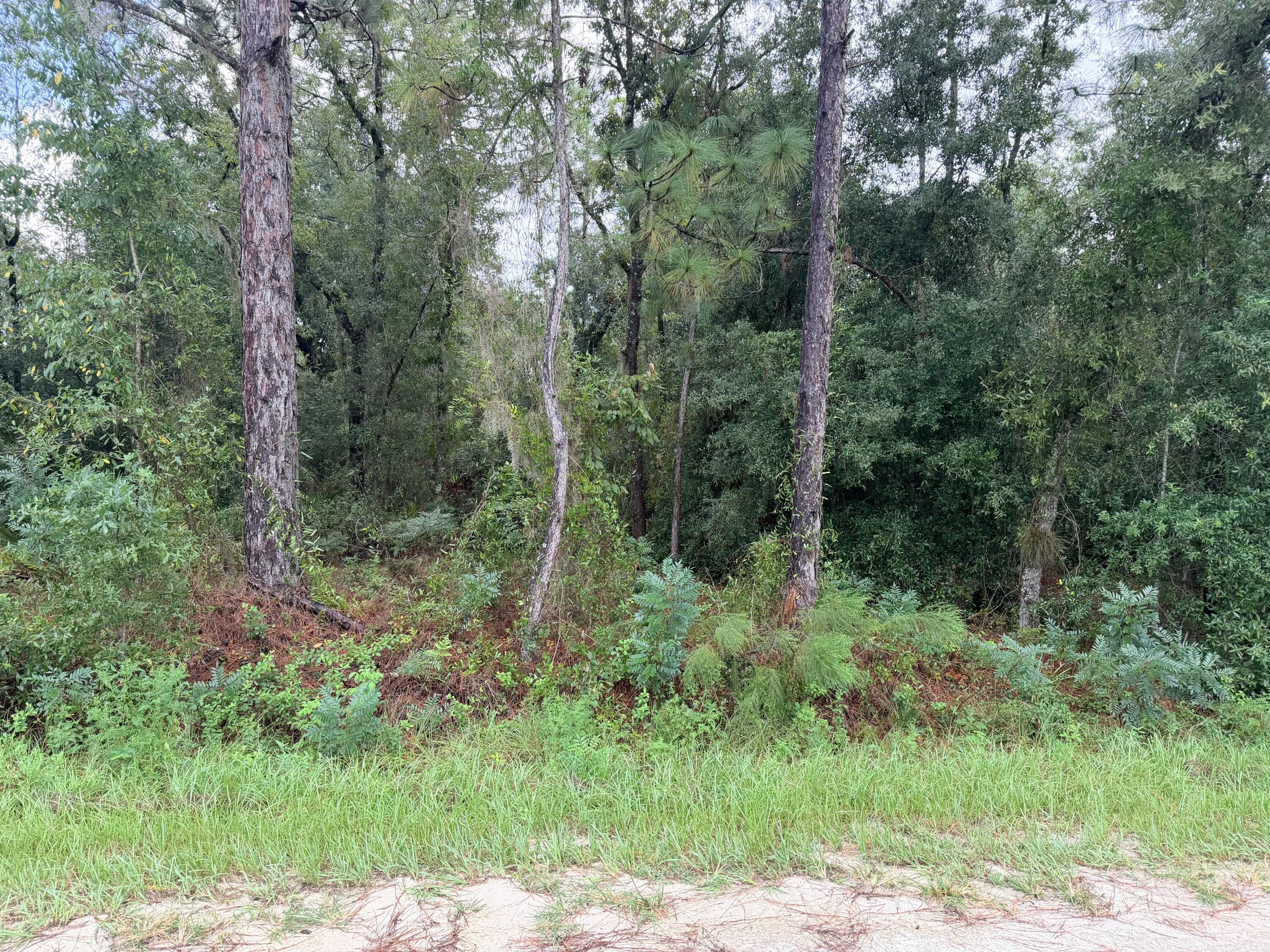 0 NO SITUS, Dunnellon, FL 34432, Dunnellon - Photo 5