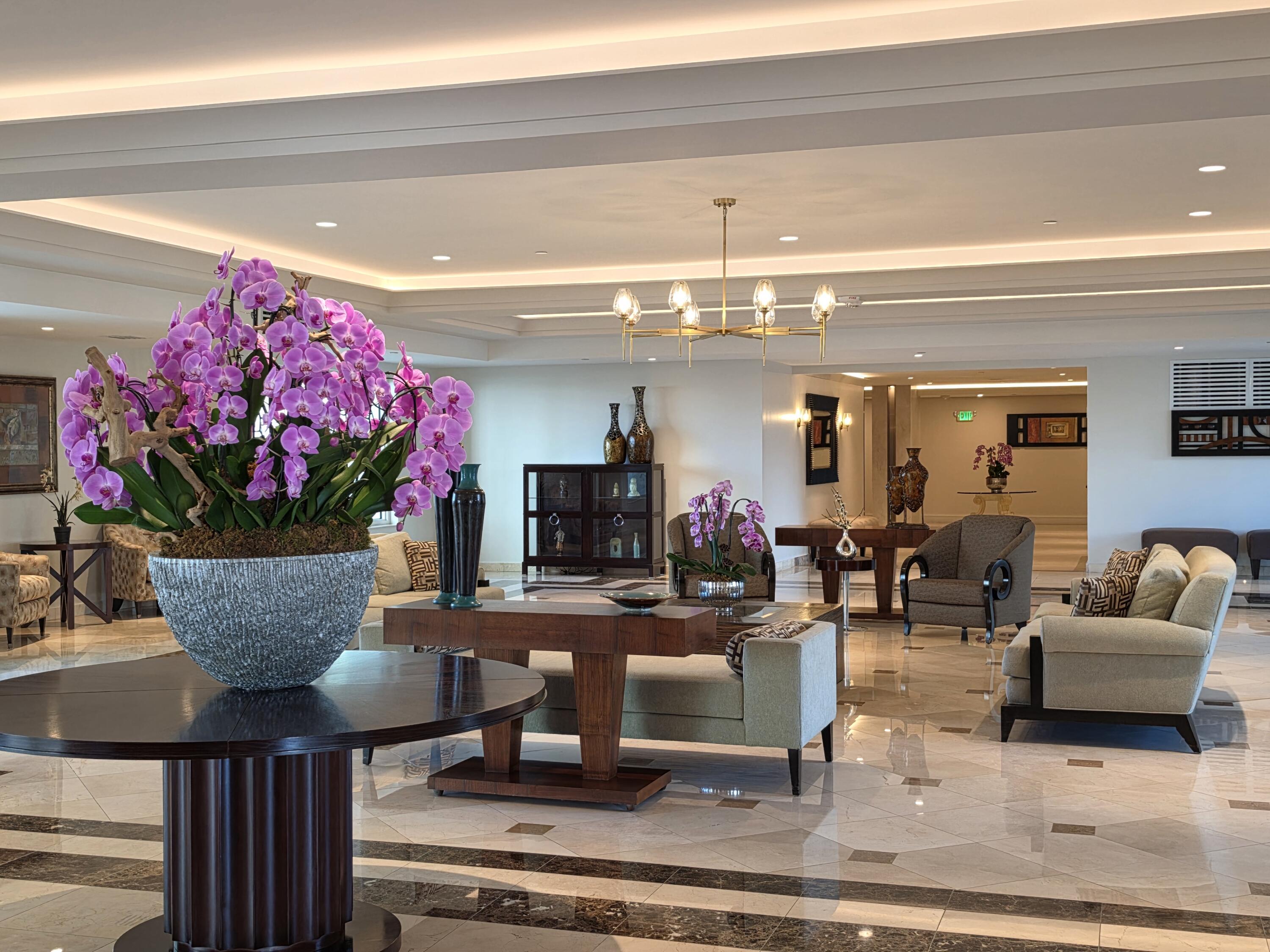 3410 Galt Ocean Drive 808N, Fort Lauderdale, FL 33308, Fort Lauderdale