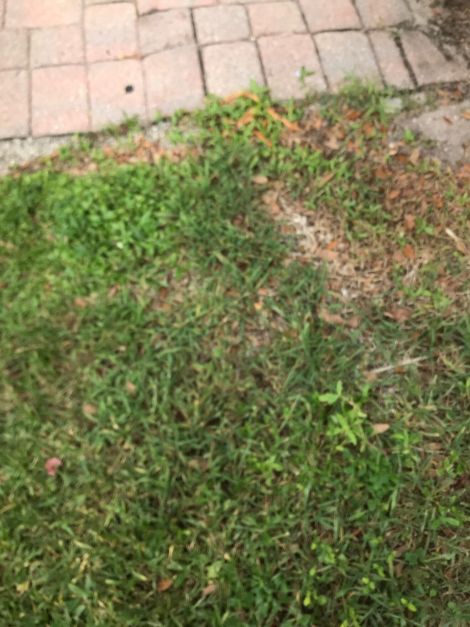 5166 SE White Oleander 5166, West Palm Beach, FL 33415, West Palm Beach - Photo 2