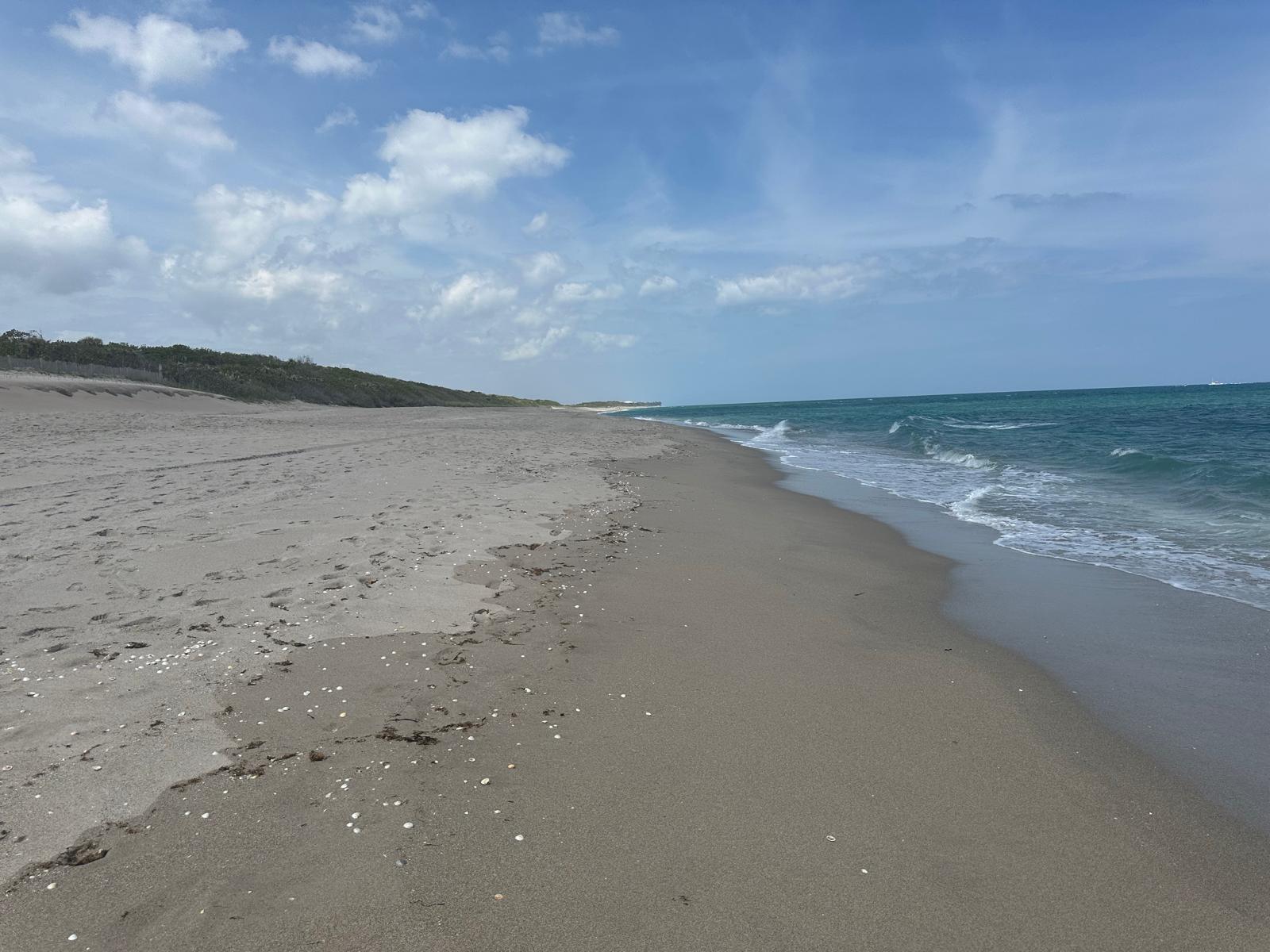 5420 N OCEAN Drive 1903, Singer Island, FL 33404, Singer Island